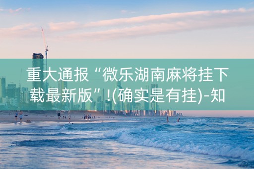 重大通报“微乐湖南麻将挂下载最新版”!(确实是有挂)-知乎