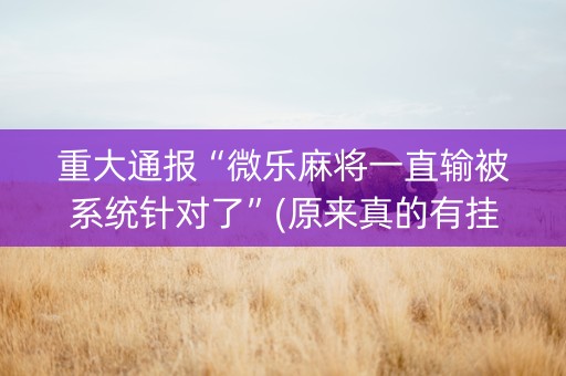 重大通报“微乐麻将一直输被系统针对了”(原来真的有挂)-知乎