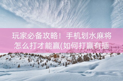 玩家必备攻略！手机划水麻将怎么打才能赢(如何打赢有插件吗)