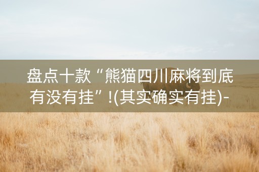盘点十款“熊猫四川麻将到底有没有挂”!(其实确实有挂)-知乎