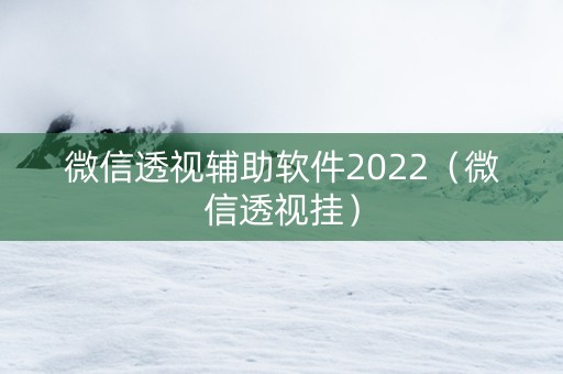 微信透视辅助软件2022（微信透视挂）