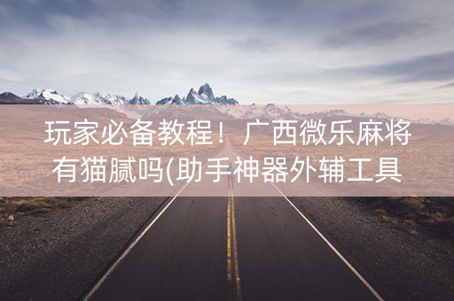 玩家必备教程！广西微乐麻将有猫腻吗(助手神器外辅工具)