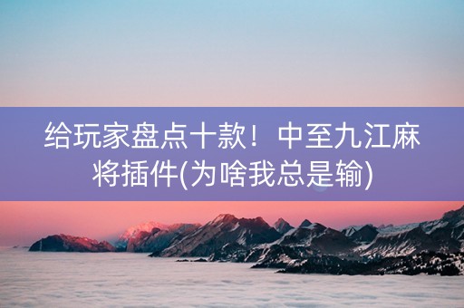 给玩家盘点十款！中至九江麻将插件(为啥我总是输)