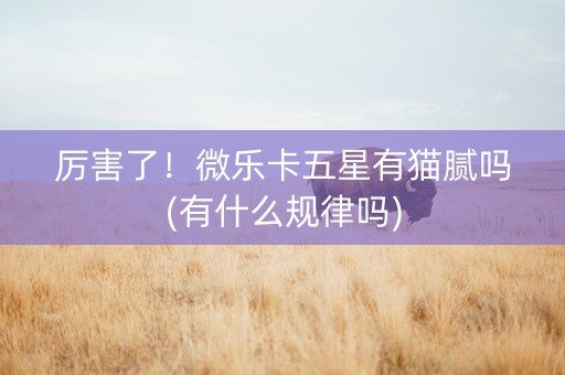 厉害了！微乐卡五星有猫腻吗(有什么规律吗)
