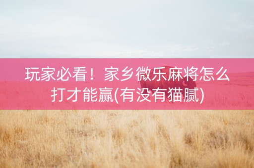 玩家必看！家乡微乐麻将怎么打才能赢(有没有猫腻)