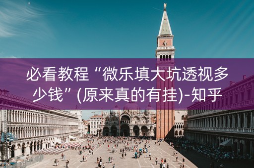 必看教程“微乐填大坑透视多少钱”(原来真的有挂)-知乎