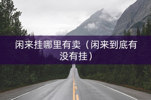 闲来挂哪里有卖（闲来到底有没有挂）