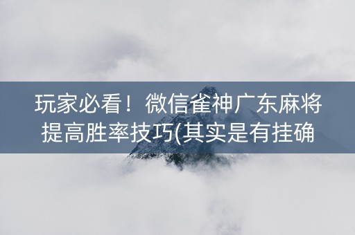 玩家必看！微信雀神广东麻将提高胜率技巧(其实是有挂确实有挂)