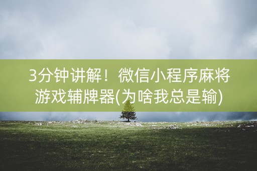 3分钟讲解！微信小程序麻将游戏辅牌器(为啥我总是输)