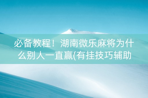 必备教程！湖南微乐麻将为什么别人一直赢(有挂技巧辅助器)