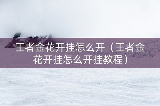 王者金花开挂怎么开（王者金花开挂怎么开挂教程）