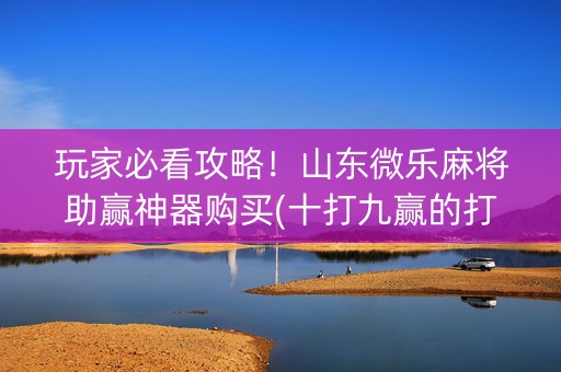 玩家必看攻略！山东微乐麻将助赢神器购买(十打九赢的打法)