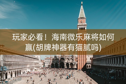 玩家必看！海南微乐麻将如何赢(胡牌神器有猫腻吗)