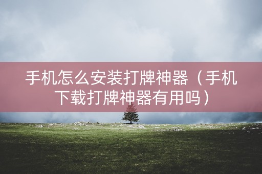 手机怎么安装打牌神器（手机下载打牌神器有用吗）