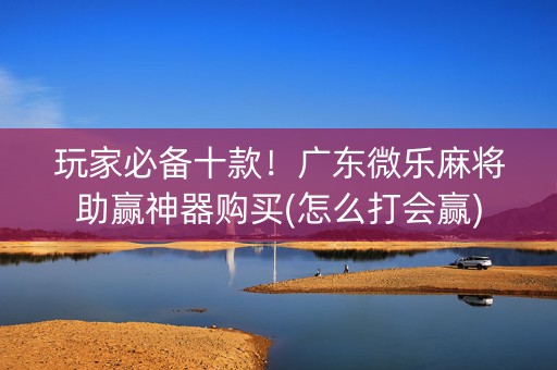 玩家必备十款！广东微乐麻将助赢神器购买(怎么打会赢)