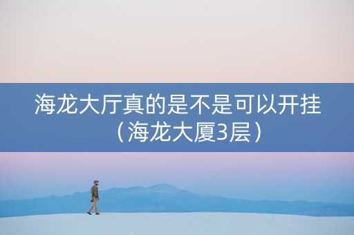 海龙大厅真的是不是可以开挂（海龙大厦3层）