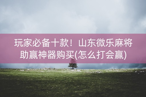 玩家必备十款！山东微乐麻将助赢神器购买(怎么打会赢)