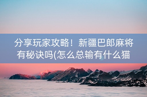 分享玩家攻略！新疆巴郎麻将有秘诀吗(怎么总输有什么猫腻)