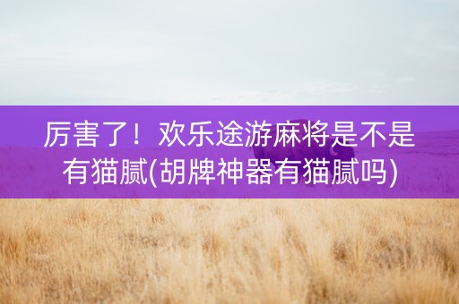 厉害了！欢乐途游麻将是不是有猫腻(胡牌神器有猫腻吗)