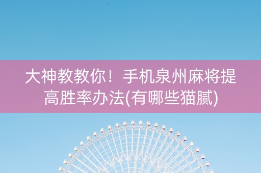 大神教教你！手机泉州麻将提高胜率办法(有哪些猫腻)
