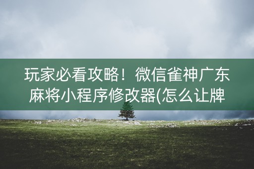 玩家必看攻略！微信雀神广东麻将小程序修改器(怎么让牌更好)