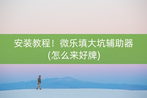 安装教程！微乐填大坑辅助器(怎么来好牌)