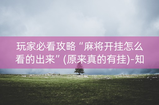 玩家必看攻略“麻将开挂怎么看的出来”(原来真的有挂)-知乎
