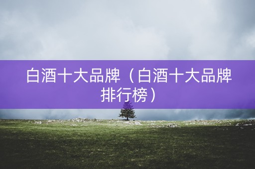 白酒十大品牌（白酒十大品牌排行榜）