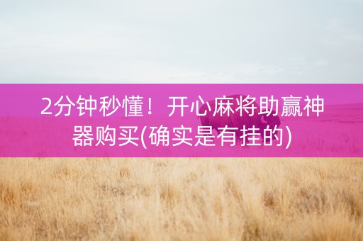 2分钟秒懂！开心麻将助赢神器购买(确实是有挂的)