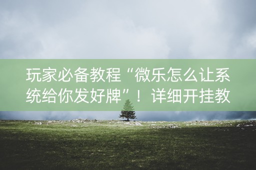 玩家必备教程“微乐怎么让系统给你发好牌”！详细开挂教程（确实真的有挂)-知乎