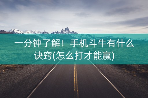 一分钟了解！手机斗牛有什么诀窍(怎么打才能赢)