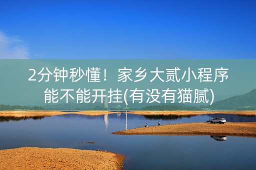 2分钟秒懂！家乡大贰小程序能不能开挂(有没有猫腻)