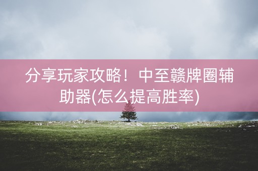 分享玩家攻略！中至赣牌圈辅助器(怎么提高胜率)