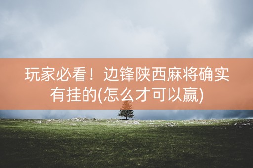 玩家必看！边锋陕西麻将确实有挂的(怎么才可以赢)