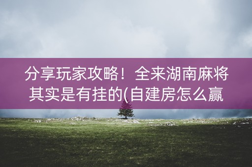 分享玩家攻略！全来湖南麻将其实是有挂的(自建房怎么赢)