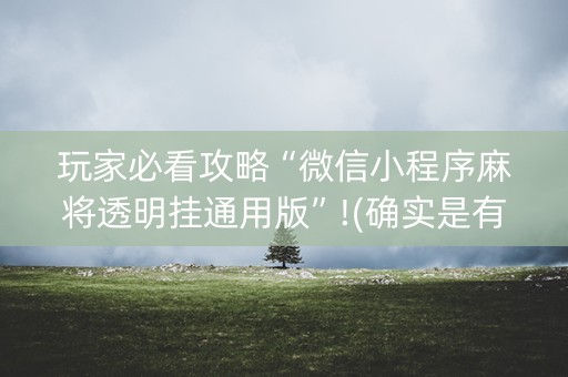 玩家必看攻略“微信小程序麻将透明挂通用版”!(确实是有挂)-知乎