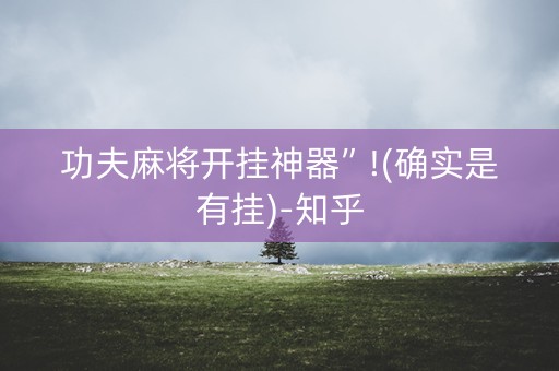 功夫麻将开挂神器”!(确实是有挂)-知乎