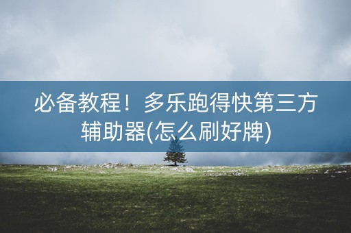 必备教程！多乐跑得快第三方辅助器(怎么刷好牌)