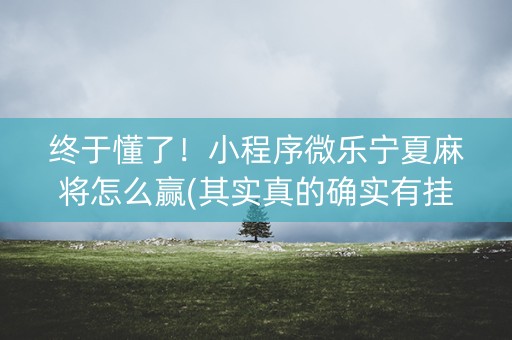 终于懂了！小程序微乐宁夏麻将怎么赢(其实真的确实有挂)