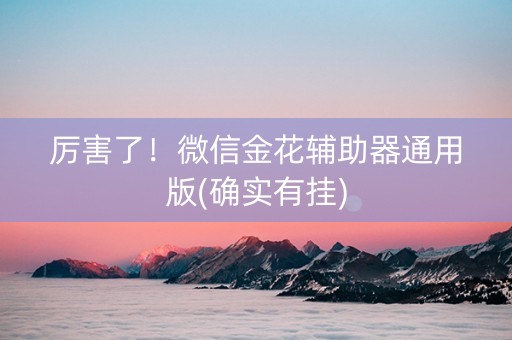 厉害了！微信金花辅助器通用版(确实有挂)