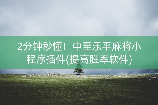 2分钟秒懂！中至乐平麻将小程序插件(提高胜率软件)