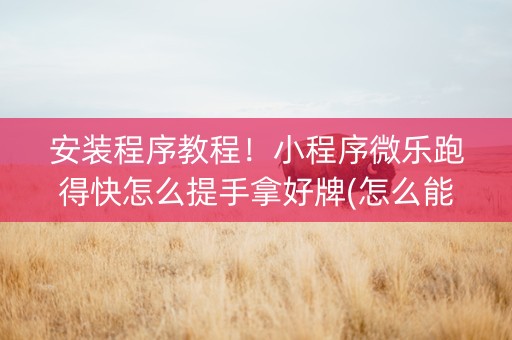 安装程序教程！小程序微乐跑得快怎么提手拿好牌(怎么能调好牌)