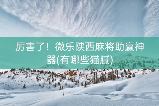 厉害了！微乐陕西麻将助赢神器(有哪些猫腻)