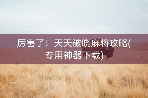厉害了！天天破晓麻将攻略(专用神器下载)