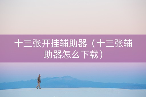 十三张开挂辅助器（十三张辅助器怎么下载）