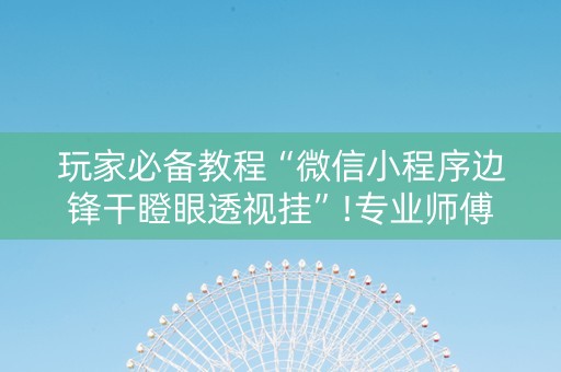 玩家必备教程“微信小程序边锋干瞪眼透视挂”!专业师傅带你一起了解（详细教程）-知乎