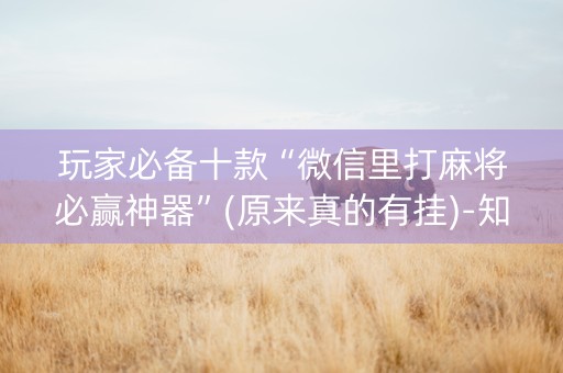 玩家必备十款“微信里打麻将必赢神器”(原来真的有挂)-知乎