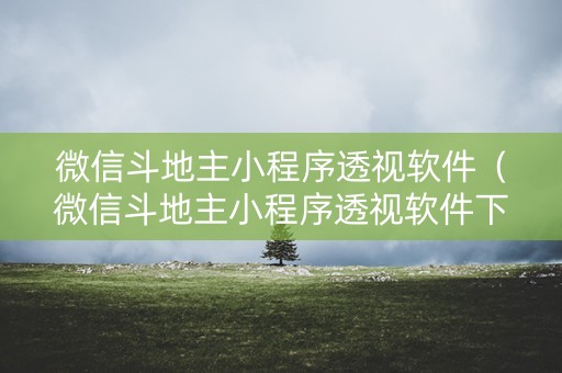 微信斗地主小程序透视软件（微信斗地主小程序透视软件下载）