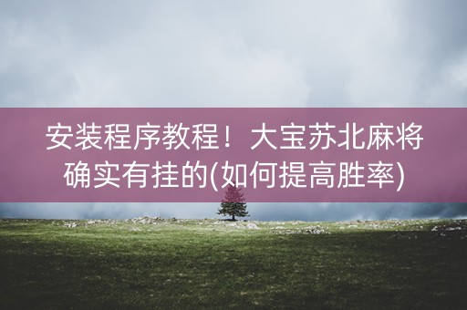 安装程序教程！大宝苏北麻将确实有挂的(如何提高胜率)