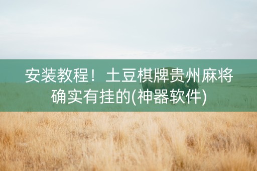 安装教程！土豆棋牌贵州麻将确实有挂的(神器软件)